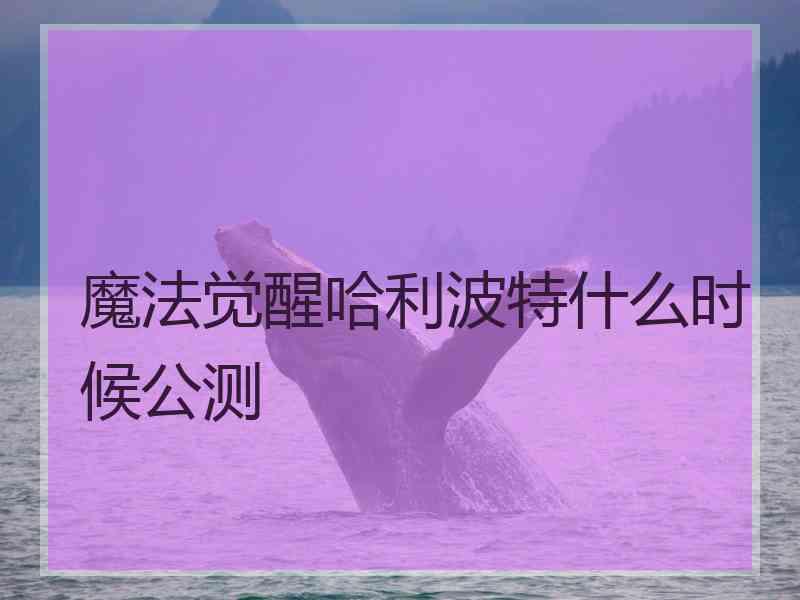 魔法觉醒哈利波特什么时候公测