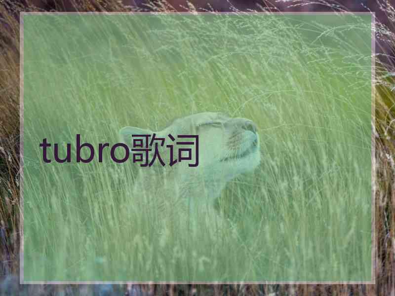 tubro歌词