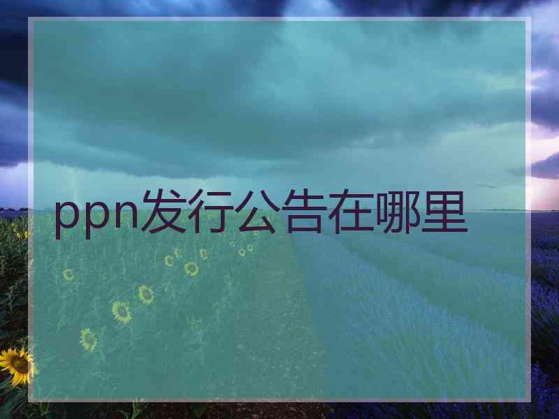 ppn发行公告在哪里