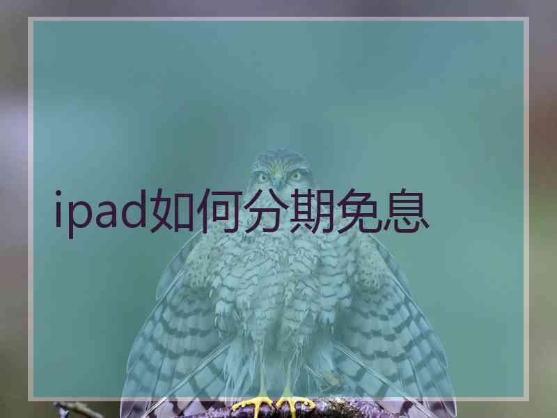 ipad如何分期免息