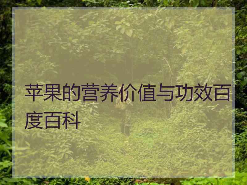 苹果的营养价值与功效百度百科