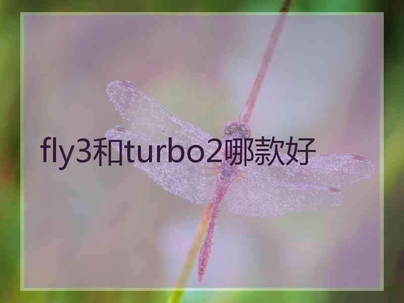 fly3和turbo2哪款好