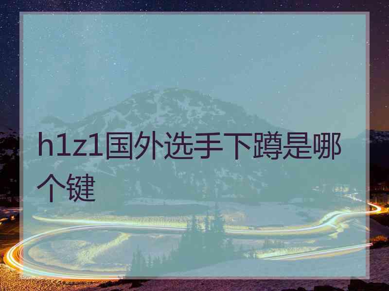 h1z1国外选手下蹲是哪个键