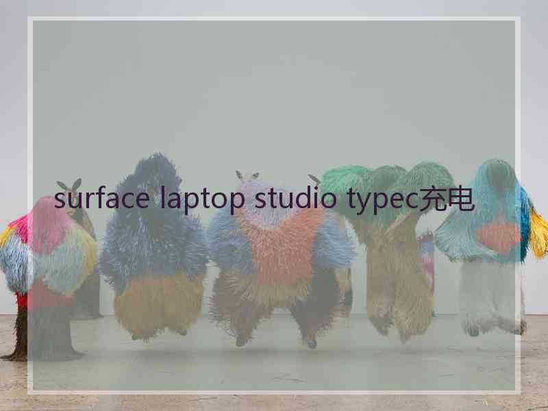 surface laptop studio typec充电