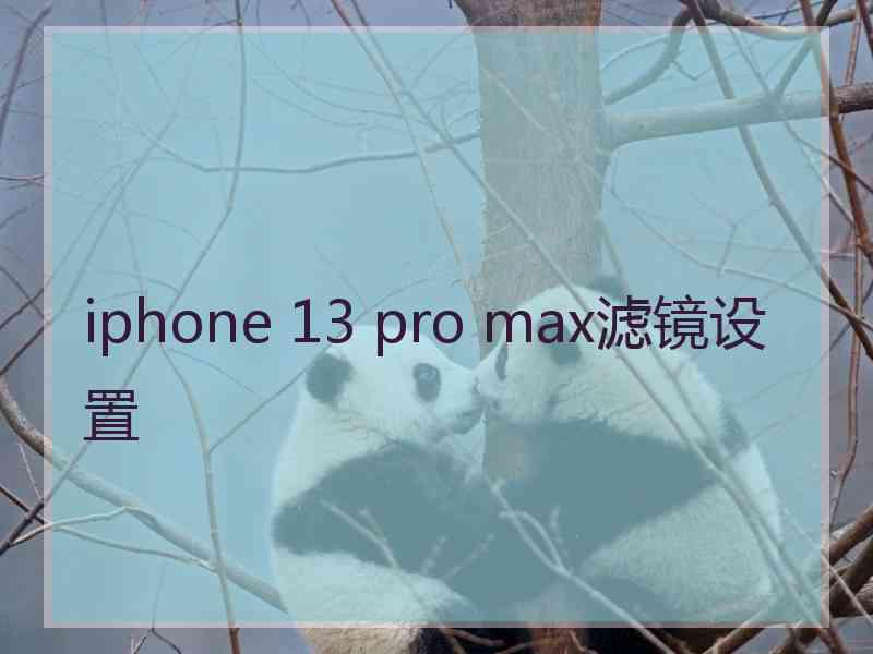 iphone 13 pro max滤镜设置