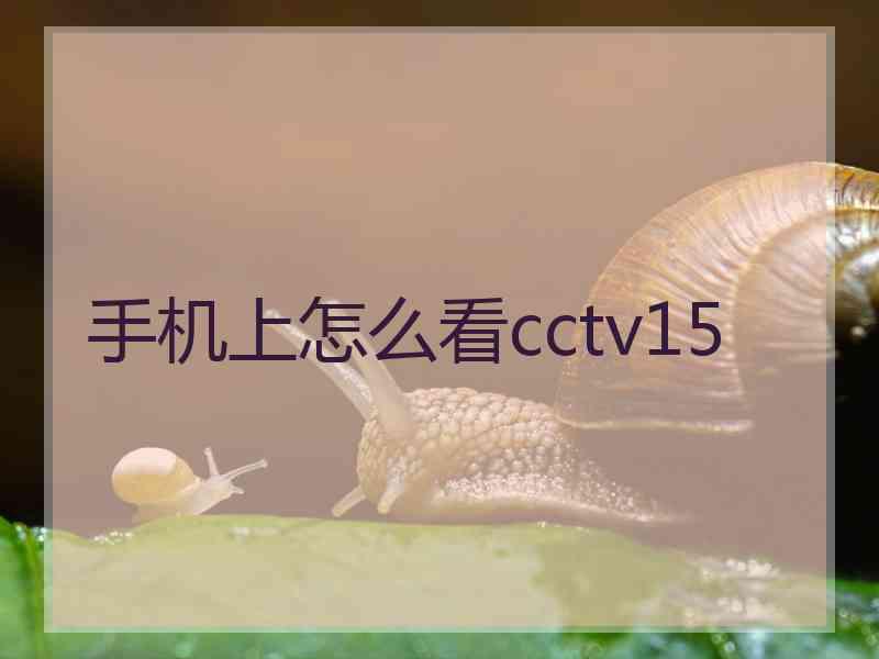 手机上怎么看cctv15