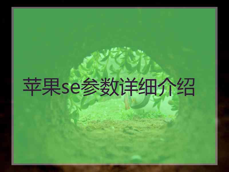 苹果se参数详细介绍