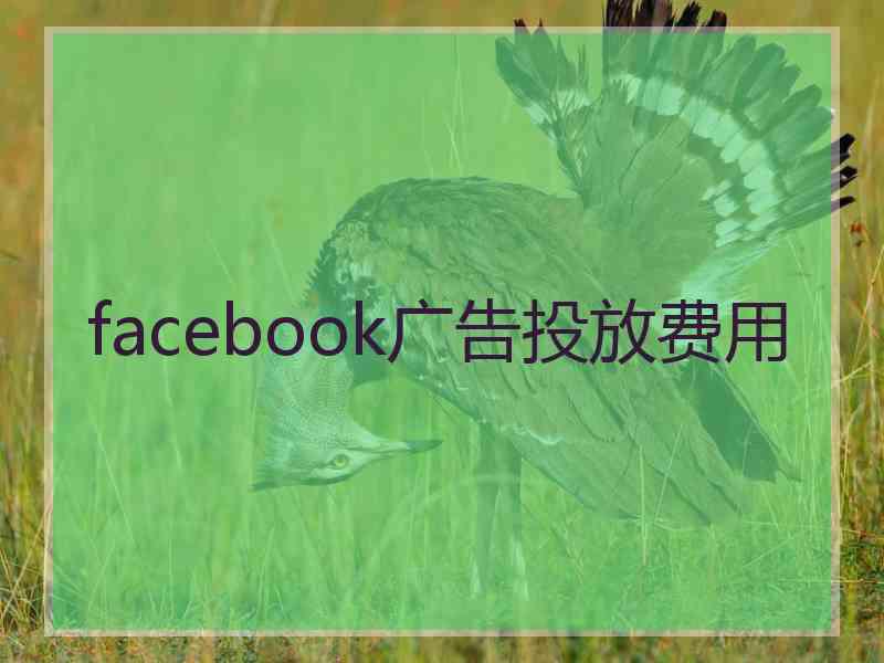 facebook广告投放费用