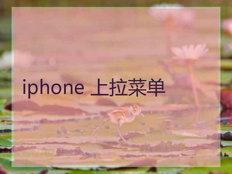 iphone 上拉菜单