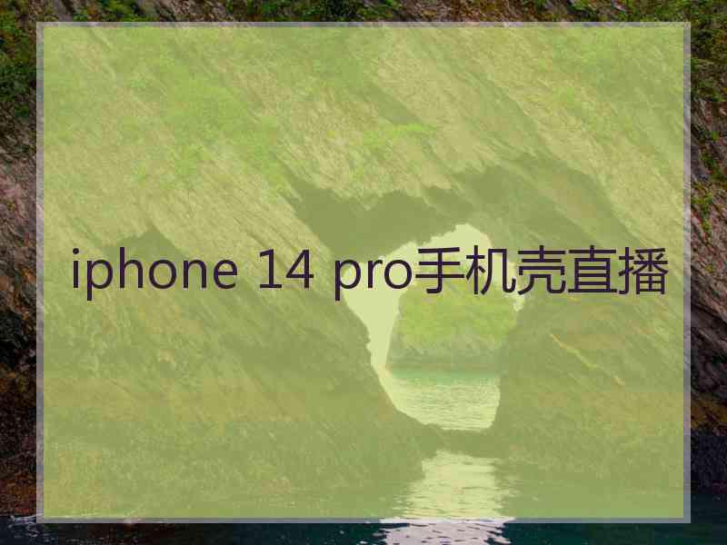 iphone 14 pro手机壳直播