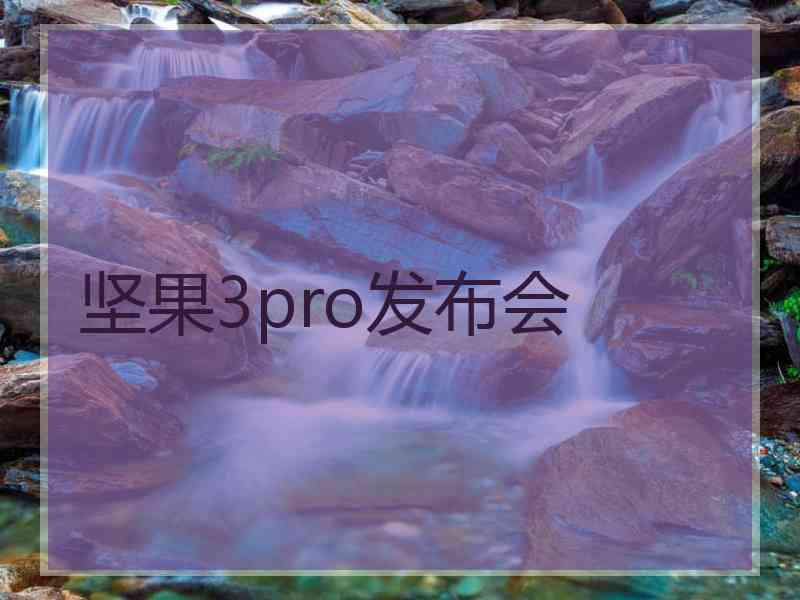 坚果3pro发布会