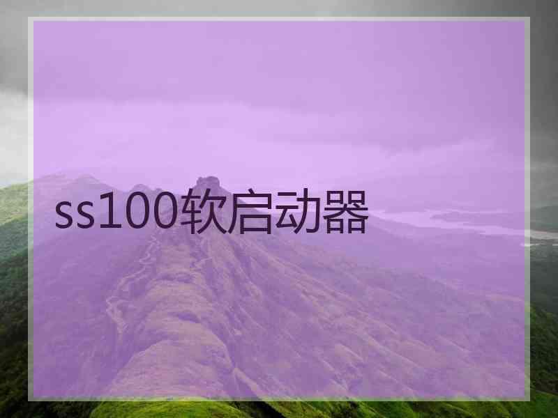 ss100软启动器