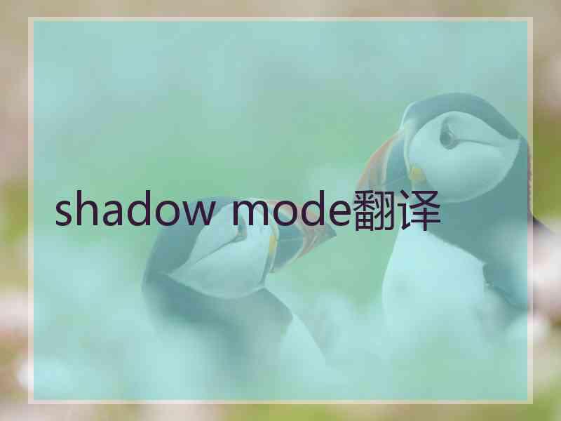 shadow mode翻译