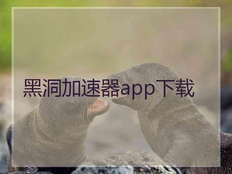 黑洞加速器app下载