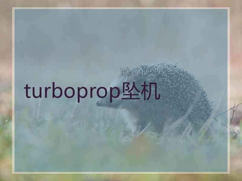 turboprop坠机