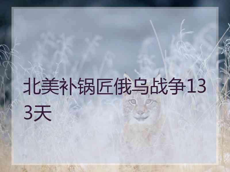 北美补锅匠俄乌战争133天