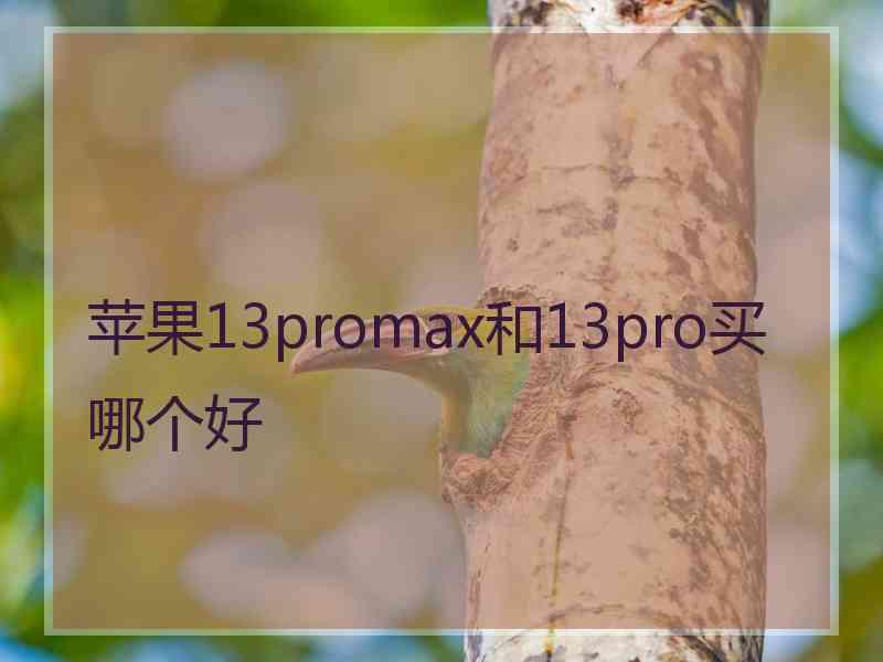 苹果13promax和13pro买哪个好