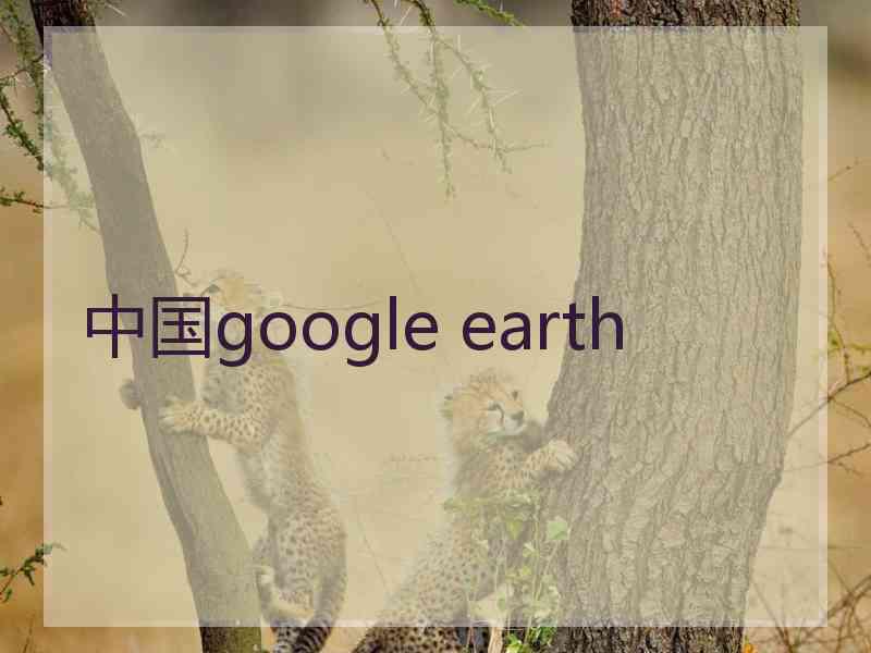 中国google earth