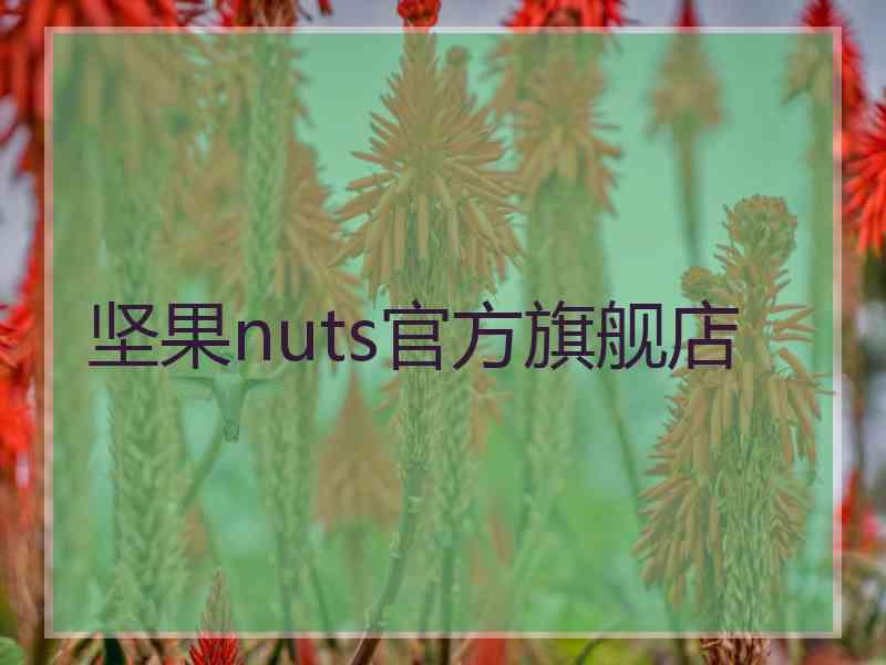 坚果nuts官方旗舰店