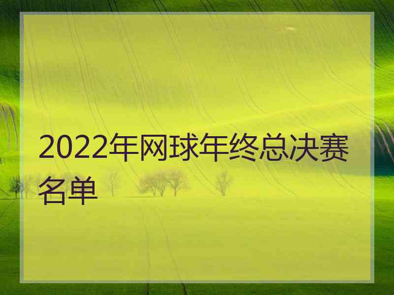 2022年网球年终总决赛名单