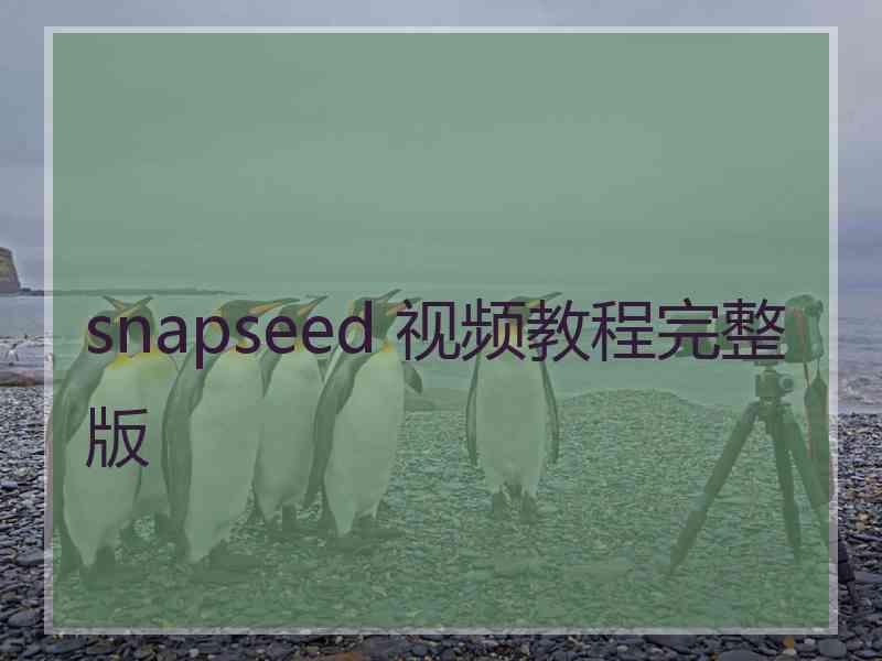 snapseed 视频教程完整版