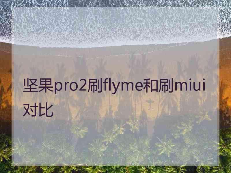 坚果pro2刷flyme和刷miui对比