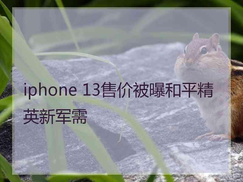 iphone 13售价被曝和平精英新军需