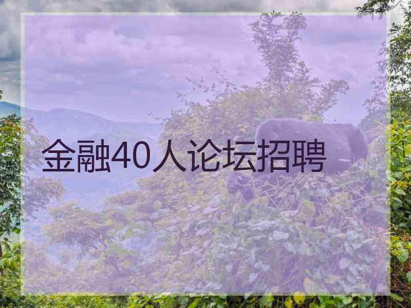 金融40人论坛招聘