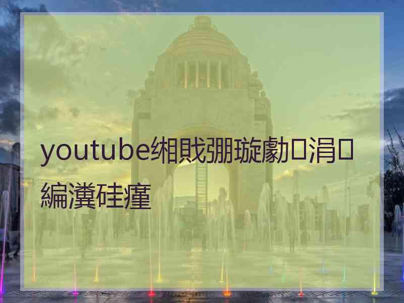 youtube缃戝弸璇勮涓編瀵硅瘽