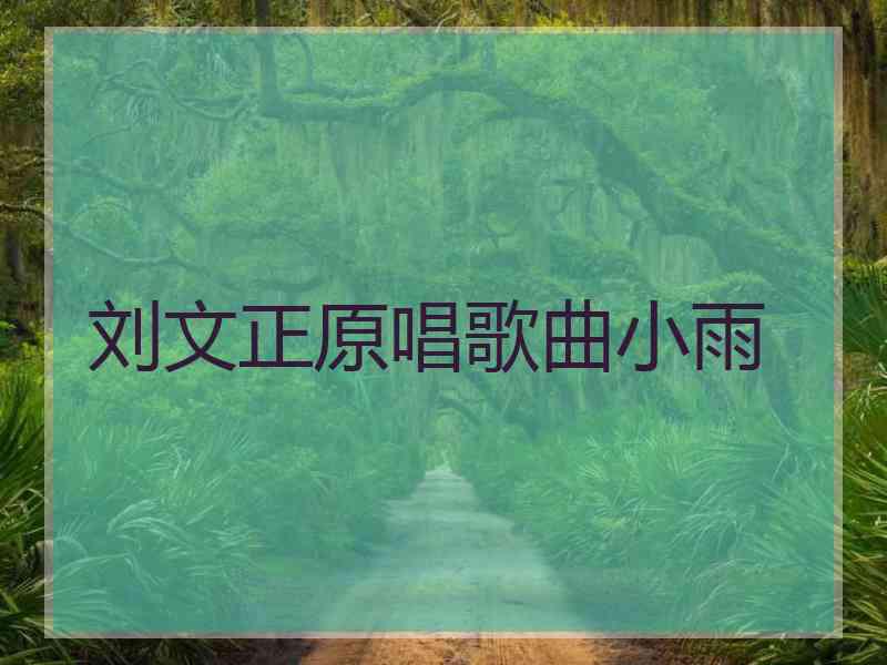 刘文正原唱歌曲小雨