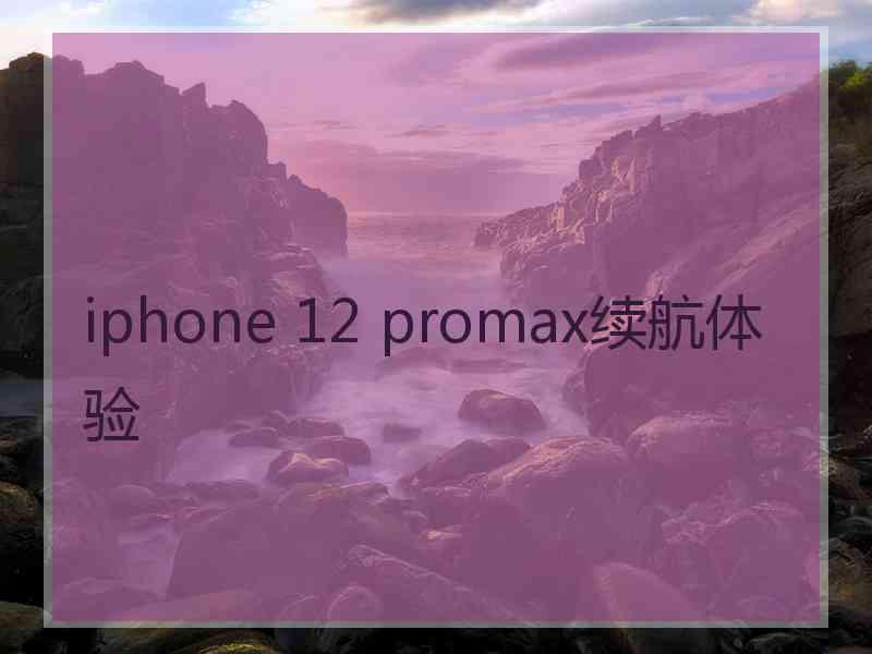 iphone 12 promax续航体验