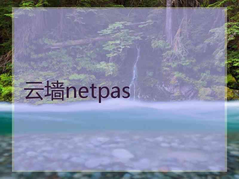 云墙netpas