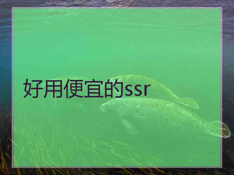 好用便宜的ssr