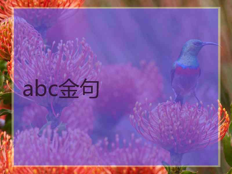 abc金句