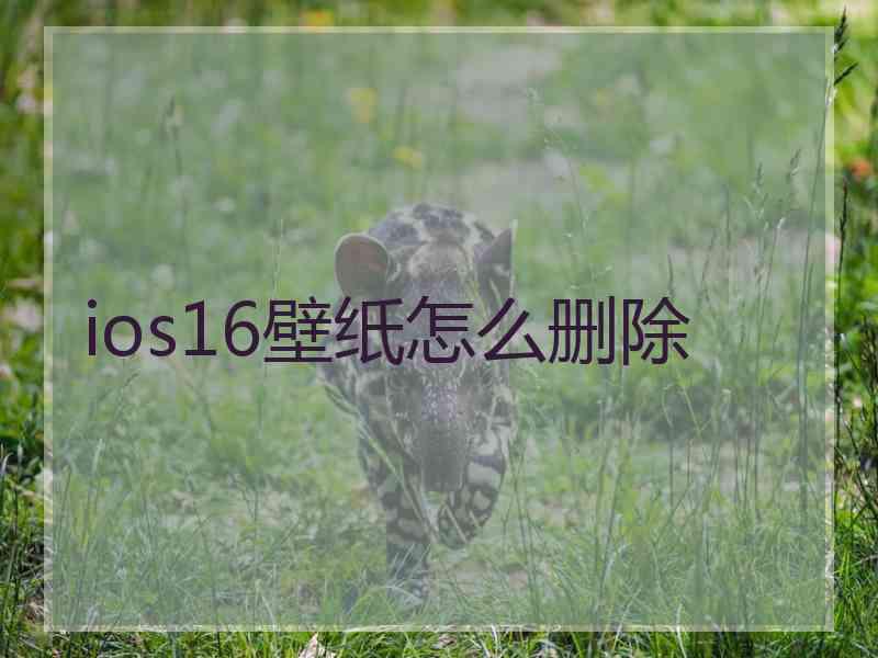 ios16壁纸怎么删除