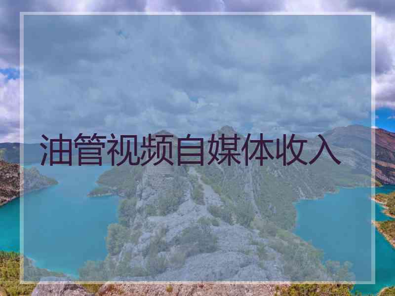 油管视频自媒体收入