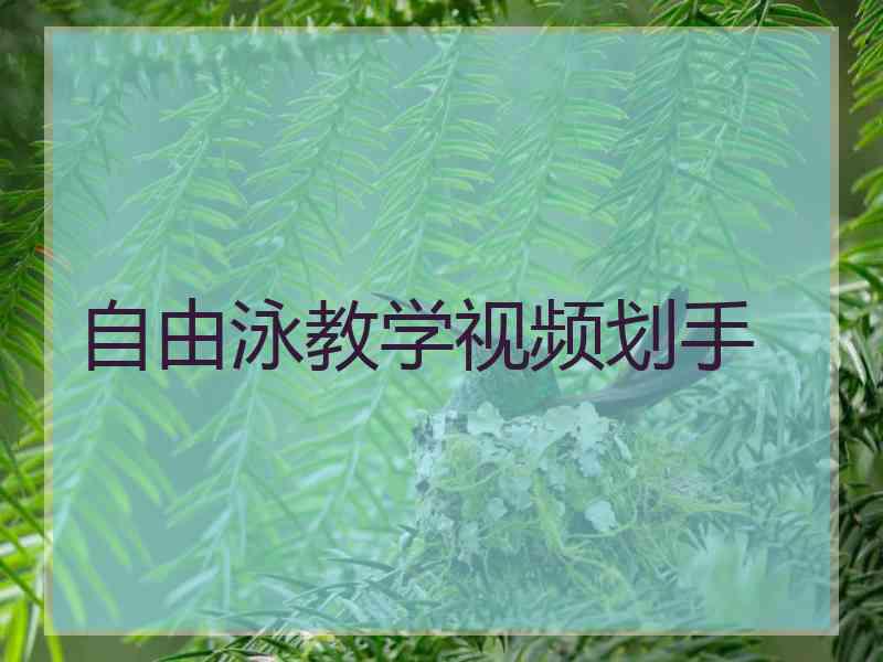 自由泳教学视频划手