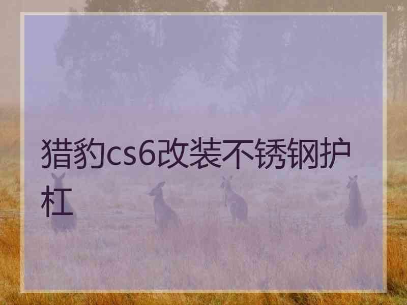 猎豹cs6改装不锈钢护杠