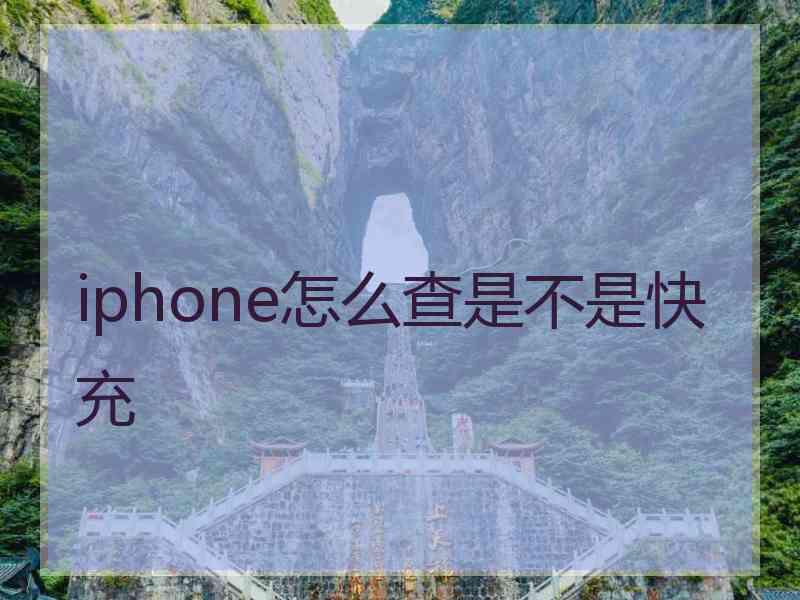 iphone怎么查是不是快充