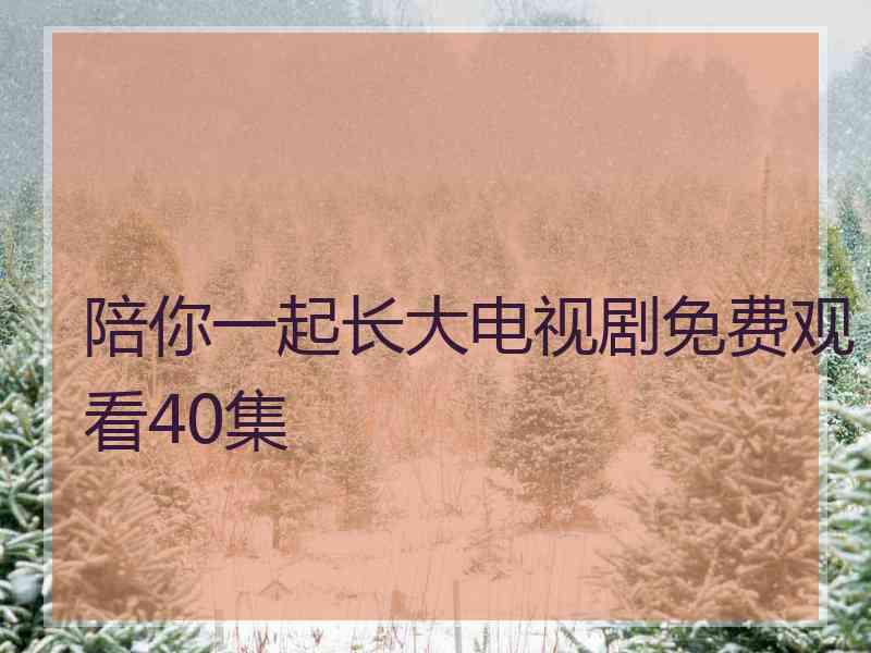 陪你一起长大电视剧免费观看40集