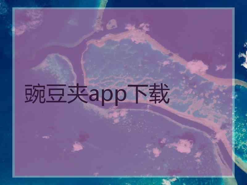 豌豆夹app下载