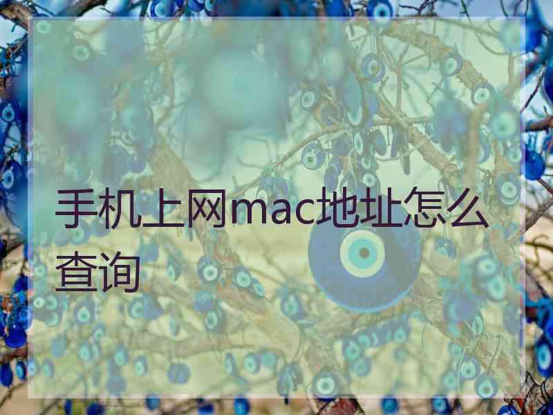 手机上网mac地址怎么查询