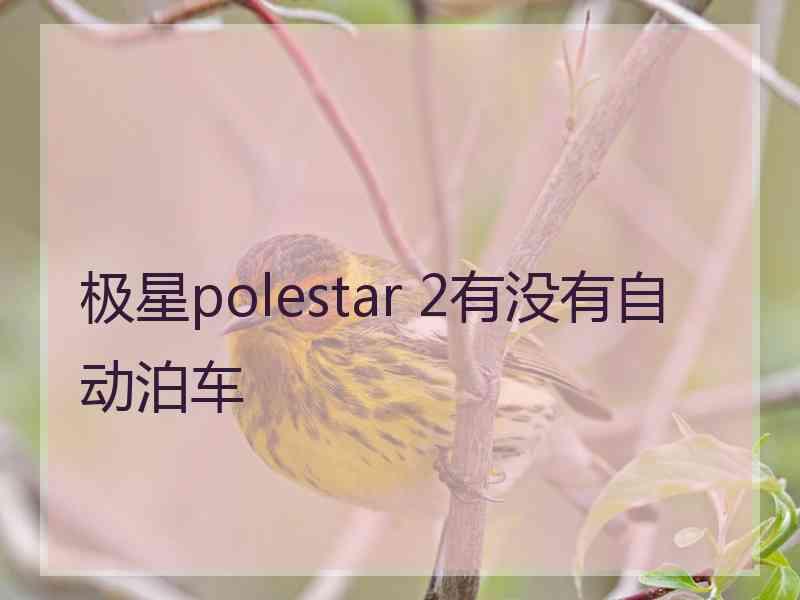 极星polestar 2有没有自动泊车