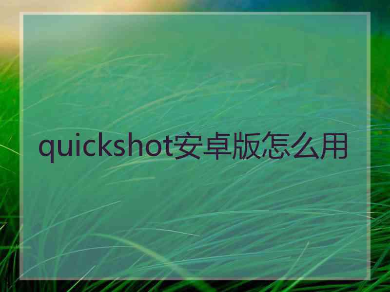 quickshot安卓版怎么用