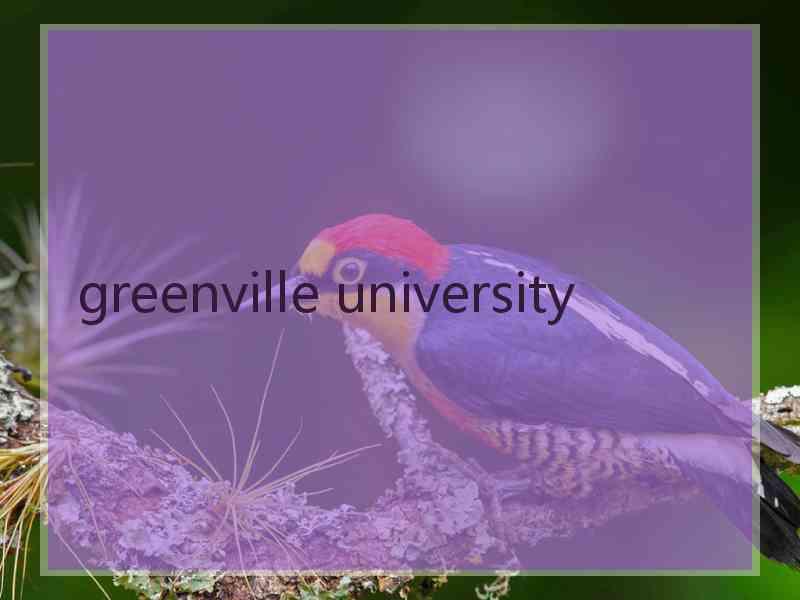 greenville university