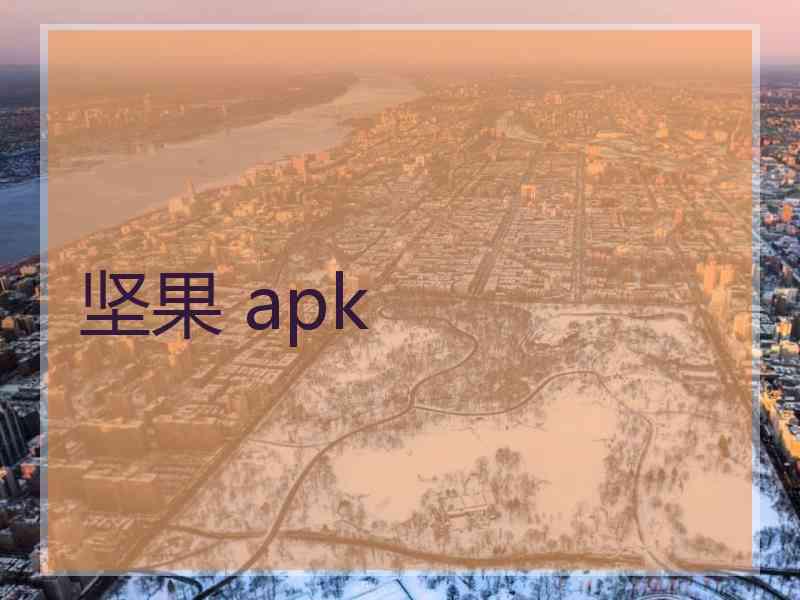 坚果 apk