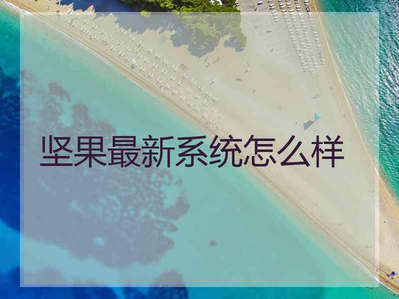 坚果最新系统怎么样