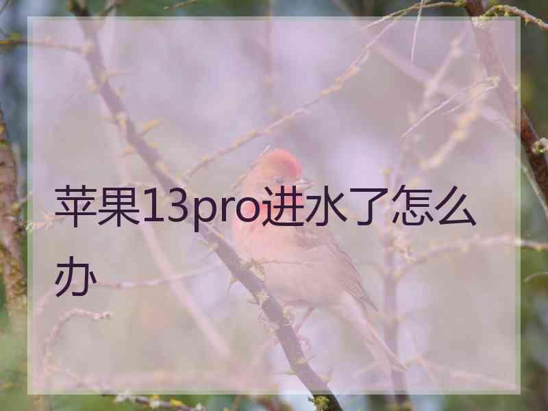 苹果13pro进水了怎么办