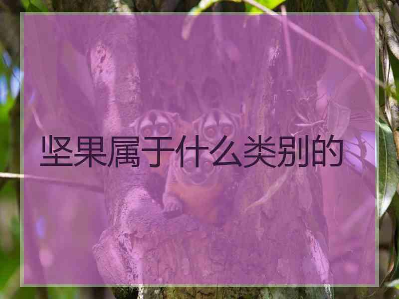 坚果属于什么类别的