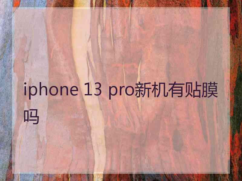 iphone 13 pro新机有贴膜吗